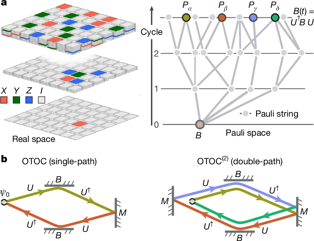Observation of Constructive Interference at the Edge of Quantum Ergodicity