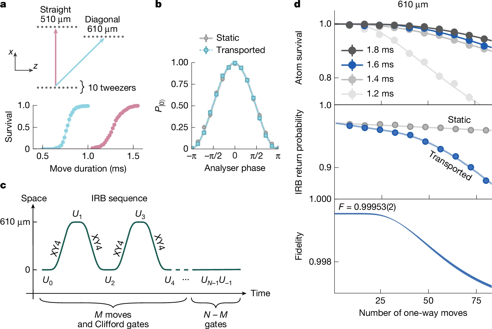 A Tweezer Array with 6,100 Highly Coherent Atomic Qubits